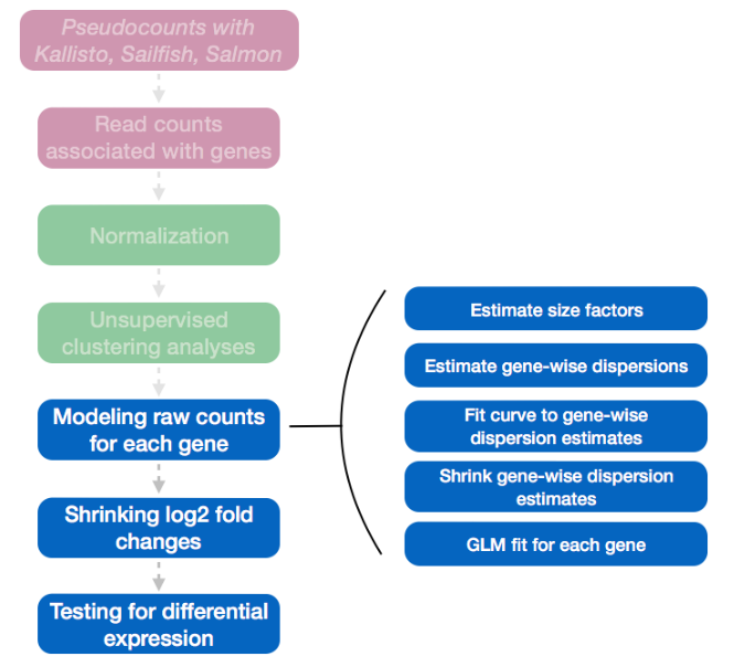 Differential expression analysis