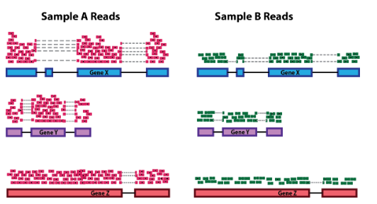 sequencing depth