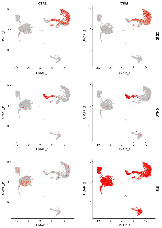 VlnPlot