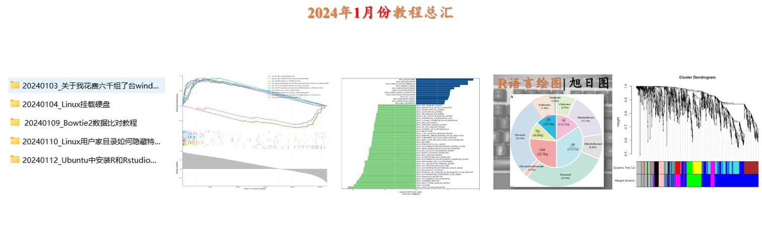 2024年1月份更新文档