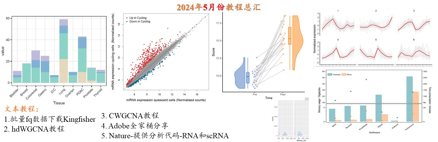 2024年5月份更新文档